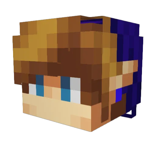 Toast861 Minecraft avatar head, 3D render