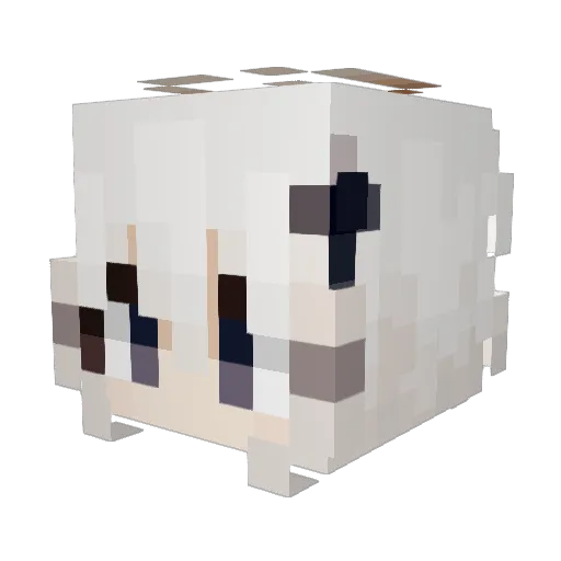 ToastBreadMc Minecraft avatar head, 3D render
