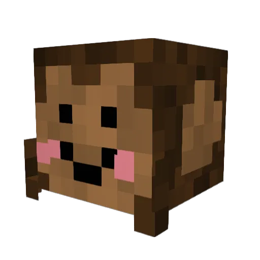 ToastBrot50 Minecraft avatar head, 3D render