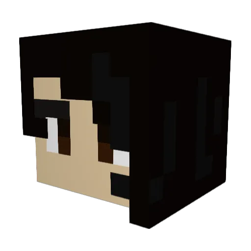 ToastCookie666 Minecraft avatar head, 3D render