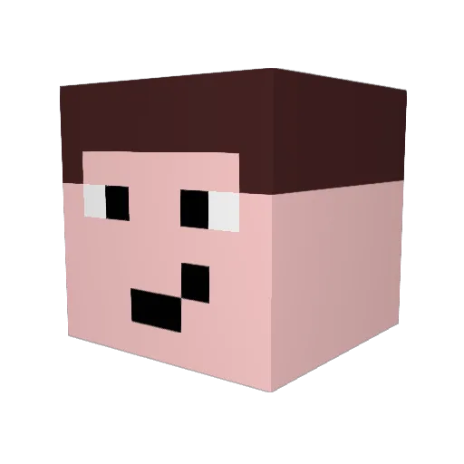 ToastHummel4981 Minecraft avatar head, 3D render