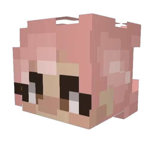 ToastSenpie Minecraft avatar head, 3D render