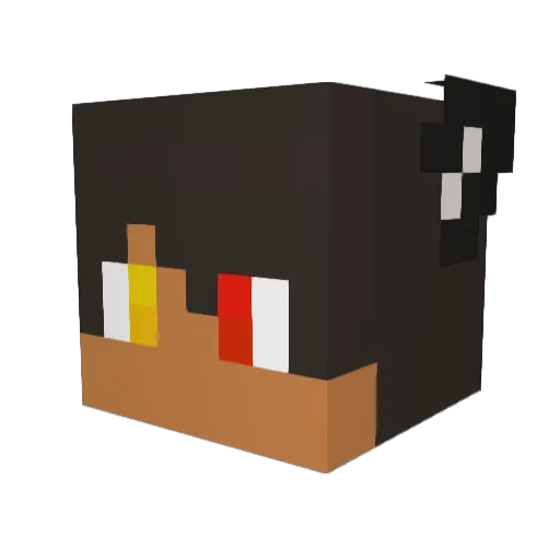 ToastStar Minecraft avatar head, 3D render