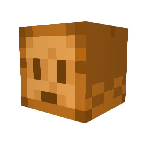 Toast_3rd Minecraft avatar head, 3D render