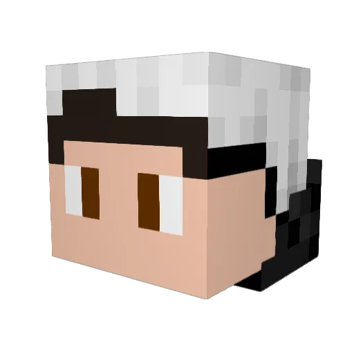 Toast_Fairy Minecraft avatar head, 3D render