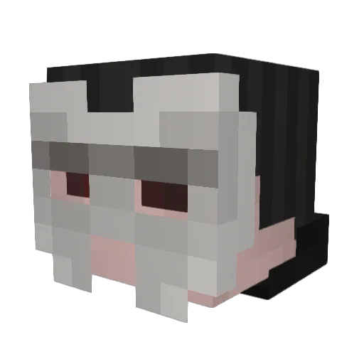 Toast_Man2 Minecraft avatar head, 3D render