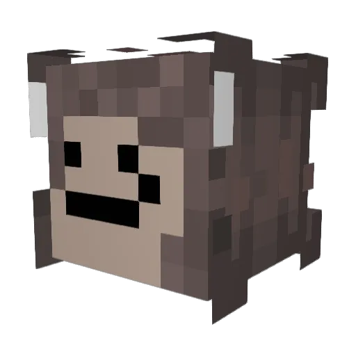 Toast_____Malone Minecraft avatar head, 3D render
