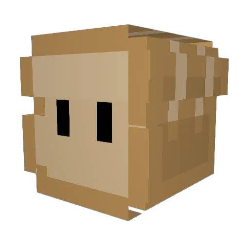 Toast_player Minecraft avatar head, 3D render