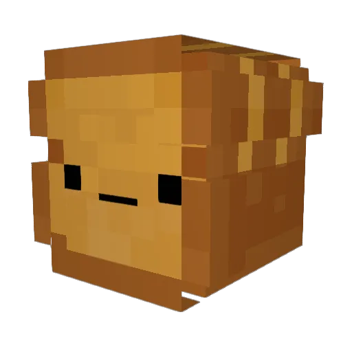 Toast_xD420 Minecraft avatar head, 3D render