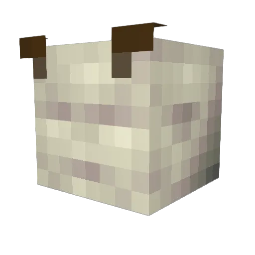 Toastbrot221 Minecraft avatar head, 3D render