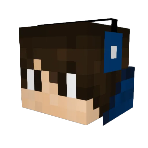 Toastbrtface Minecraft avatar head, 3D render