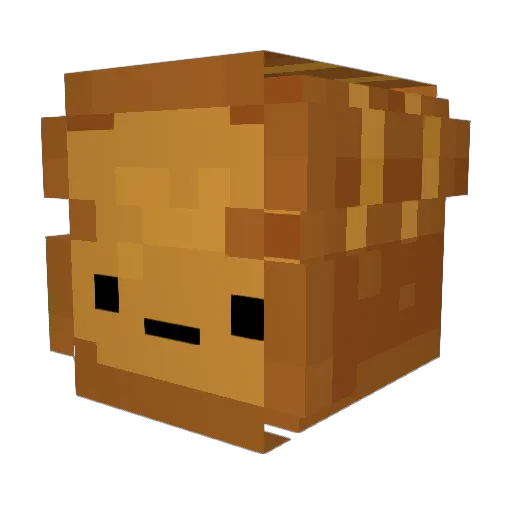 ToasteBrot12445 Minecraft avatar head, 3D render