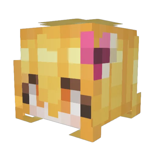 Toaste_ Minecraft avatar head, 3D render