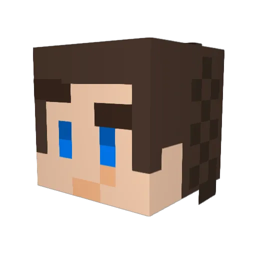 ToastedBreadX Minecraft avatar head, 3D render
