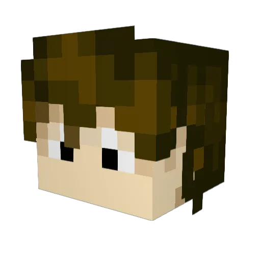 ToastedData Minecraft avatar head, 3D render