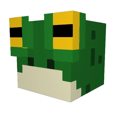 ToastedFrog_ Minecraft avatar head, 3D render