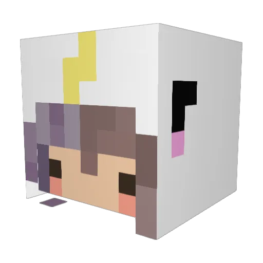 ToastedInPublic Minecraft avatar head, 3D render