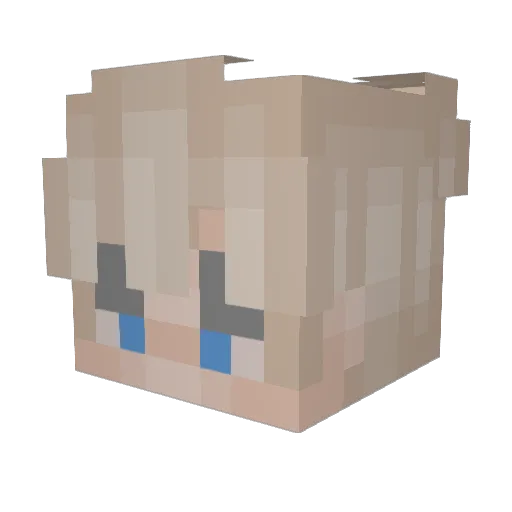 ToastedMC Minecraft avatar head, 3D render