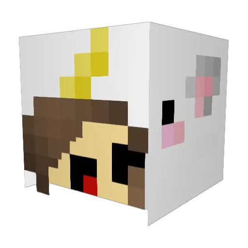 ToastedMellow Minecraft avatar head, 3D render