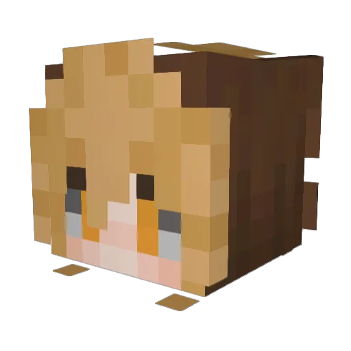 ToastedMoth Minecraft avatar head, 3D render