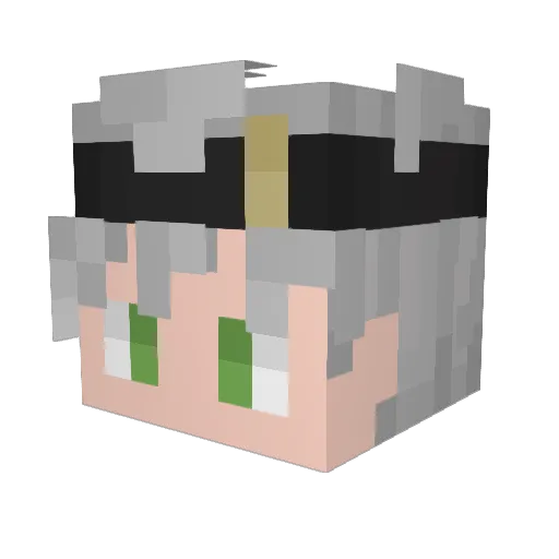 ToastedPapaya321 Minecraft avatar head, 3D render