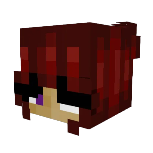 ToastedPaws Minecraft avatar head, 3D render