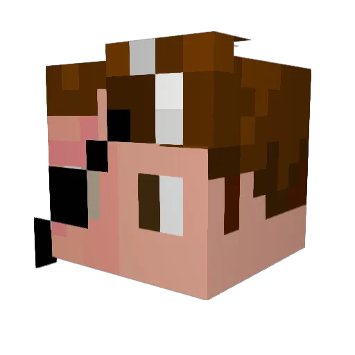 ToastedSloan Minecraft avatar head, 3D render