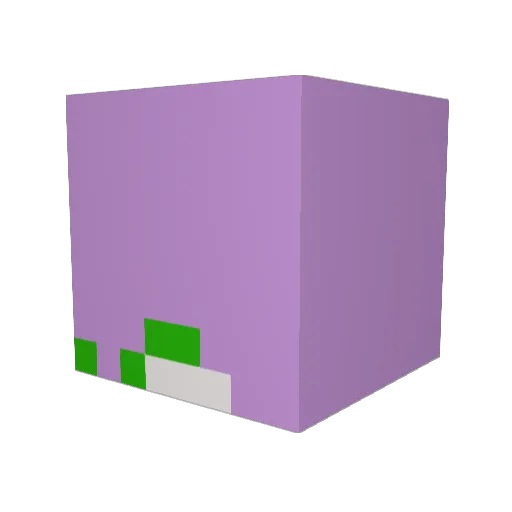 ToastedToenails Minecraft avatar head, 3D render