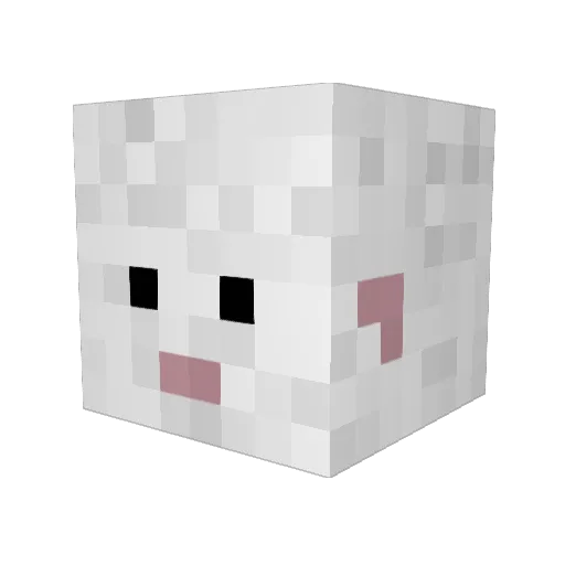 Toasted_Buns131 Minecraft avatar head, 3D render