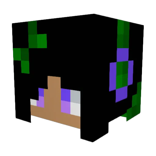 Toasted_Femboy Minecraft avatar head, 3D render