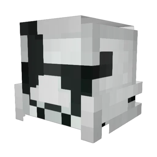Toasted_King Minecraft avatar head, 3D render