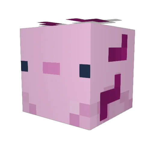 Toaster123456 Minecraft avatar head, 3D render