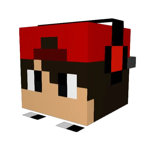 Toaster12453 Minecraft avatar head, 3D render