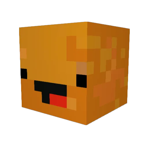 Toaster573 Minecraft avatar head, 3D render