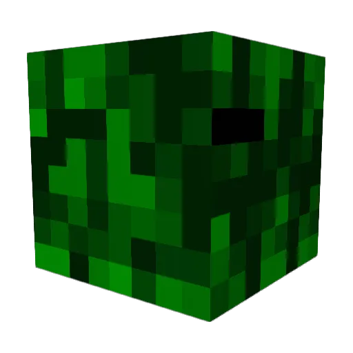 Toaster5757 Minecraft avatar head, 3D render