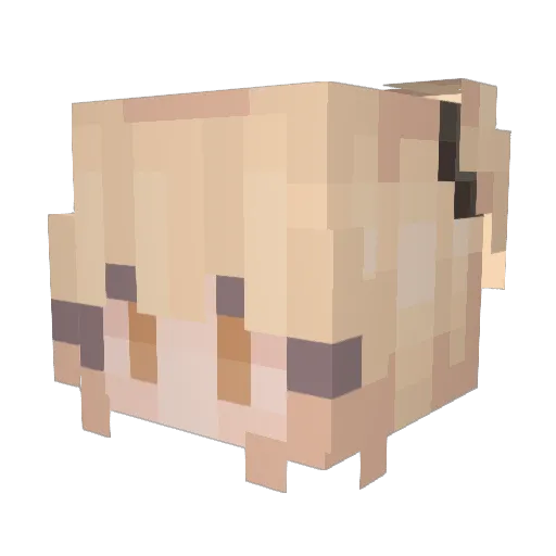 Toaster7777 Minecraft avatar head, 3D render
