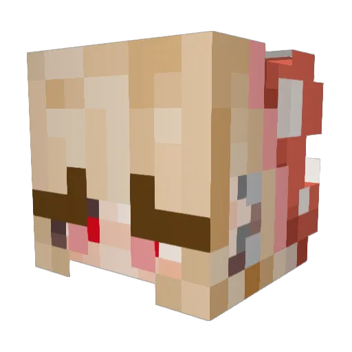 ToasterBacon89 Minecraft avatar head, 3D render
