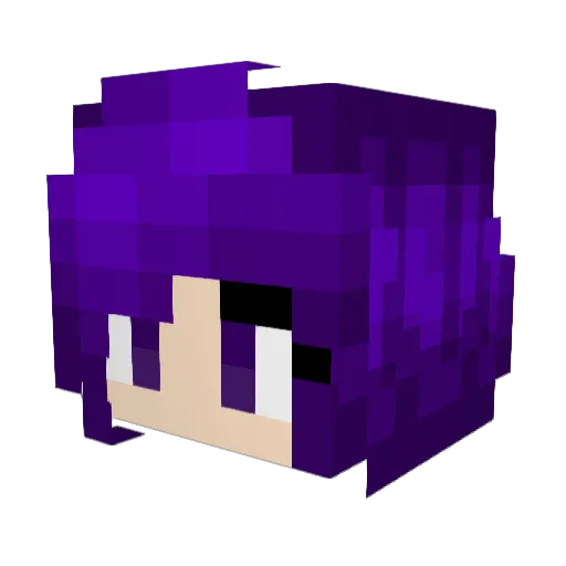 ToasterBathBomb7 Minecraft avatar head, 3D render