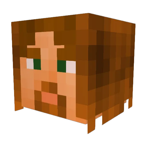 ToasterBoat Minecraft avatar head, 3D render