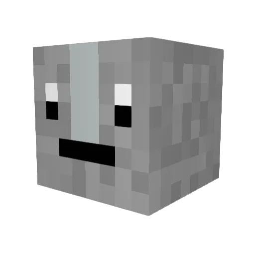 ToasterBucket Minecraft avatar head, 3D render