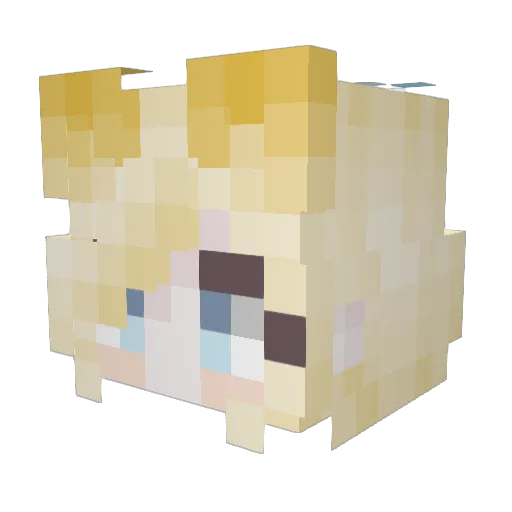 ToasterConsumer Minecraft avatar head, 3D render