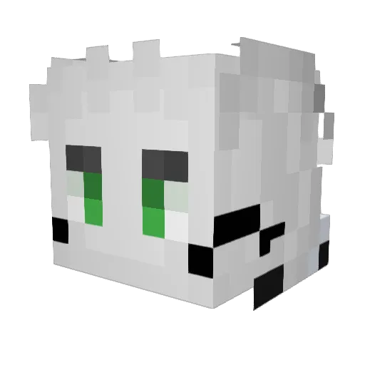 ToasterDied Minecraft avatar head, 3D render