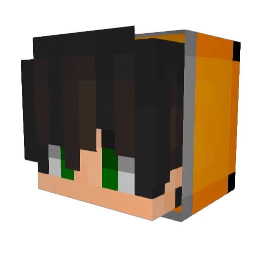 ToasterFluff Minecraft avatar head, 3D render