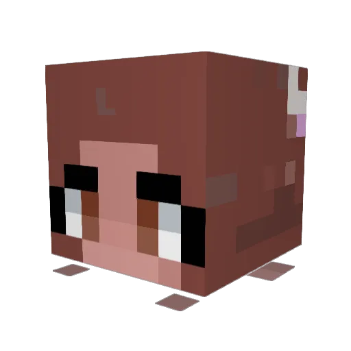 ToasterGorl Minecraft avatar head, 3D render