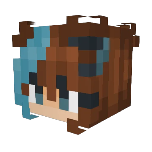 ToasterStrudel0 Minecraft avatar head, 3D render