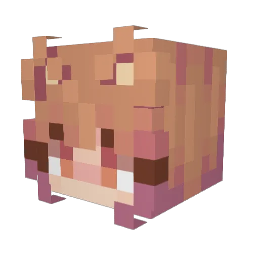 ToasterWaifu Minecraft avatar head, 3D render