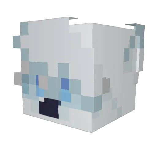 ToasterWonder Minecraft avatar head, 3D render