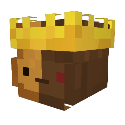 Toaster_121 Minecraft avatar head, 3D render