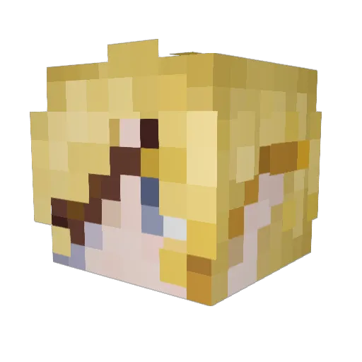 Toaster_Cat Minecraft avatar head, 3D render