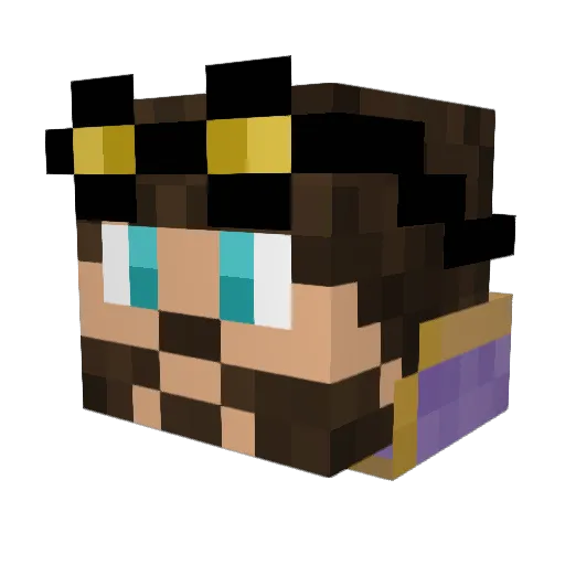 Toaster_Oven0 Minecraft avatar head, 3D render